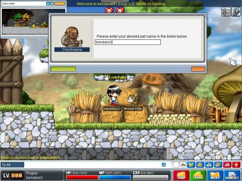 bendanx3 - [Release] Pet name changer - RaGEZONE Forums