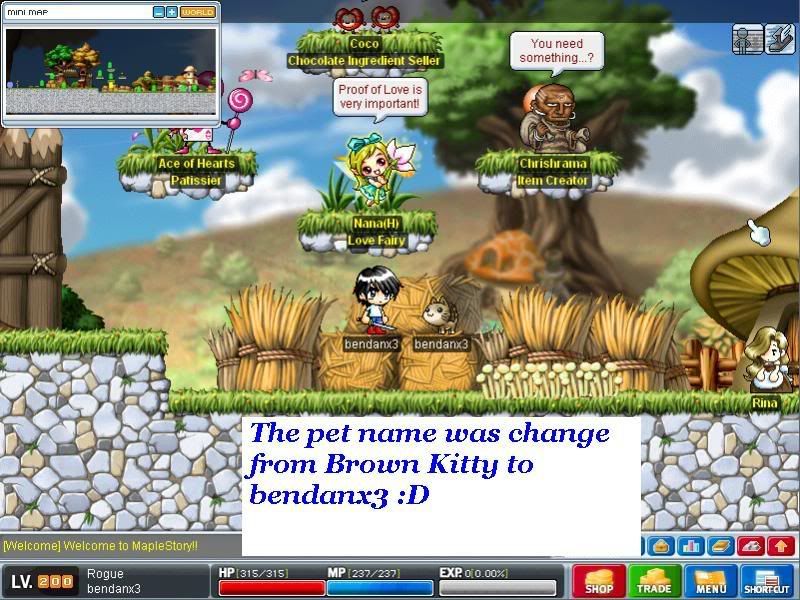 bendanx3 - [Release] Pet name changer - RaGEZONE Forums