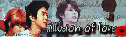 illusion of love