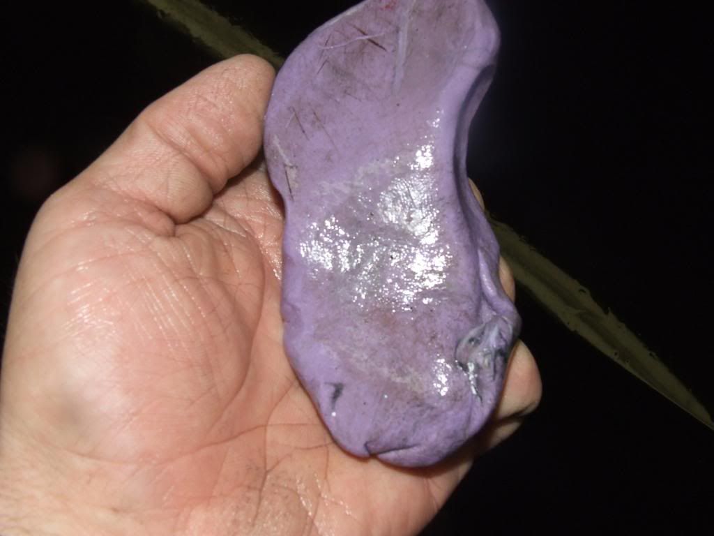 DSCF2538.jpg