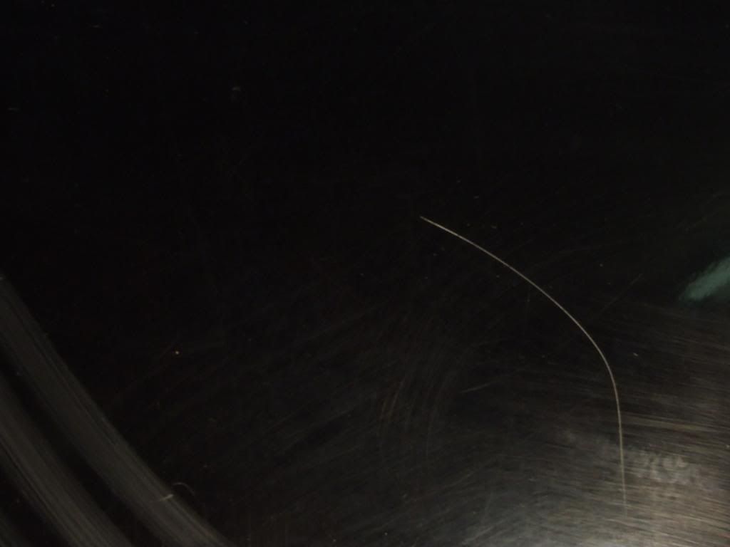 DSCF2559.jpg