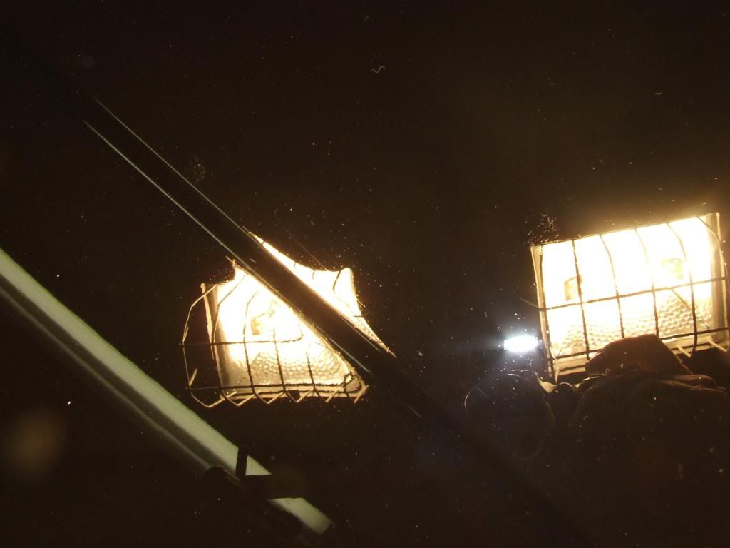 DSCF2584.jpg