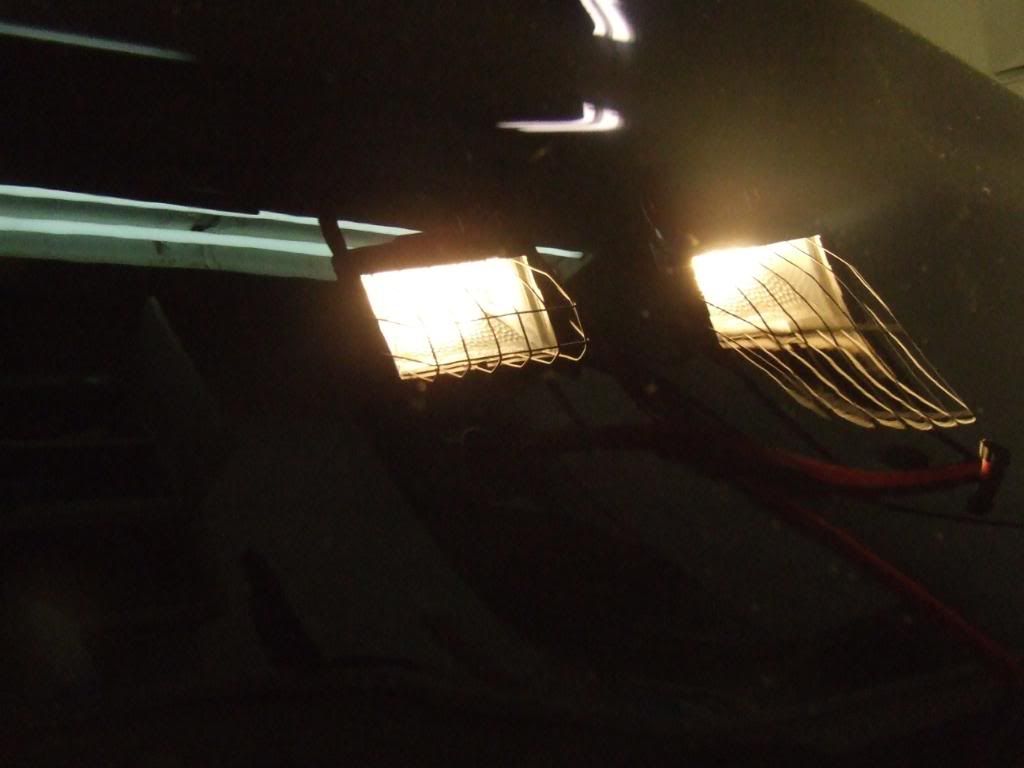 DSCF2595.jpg