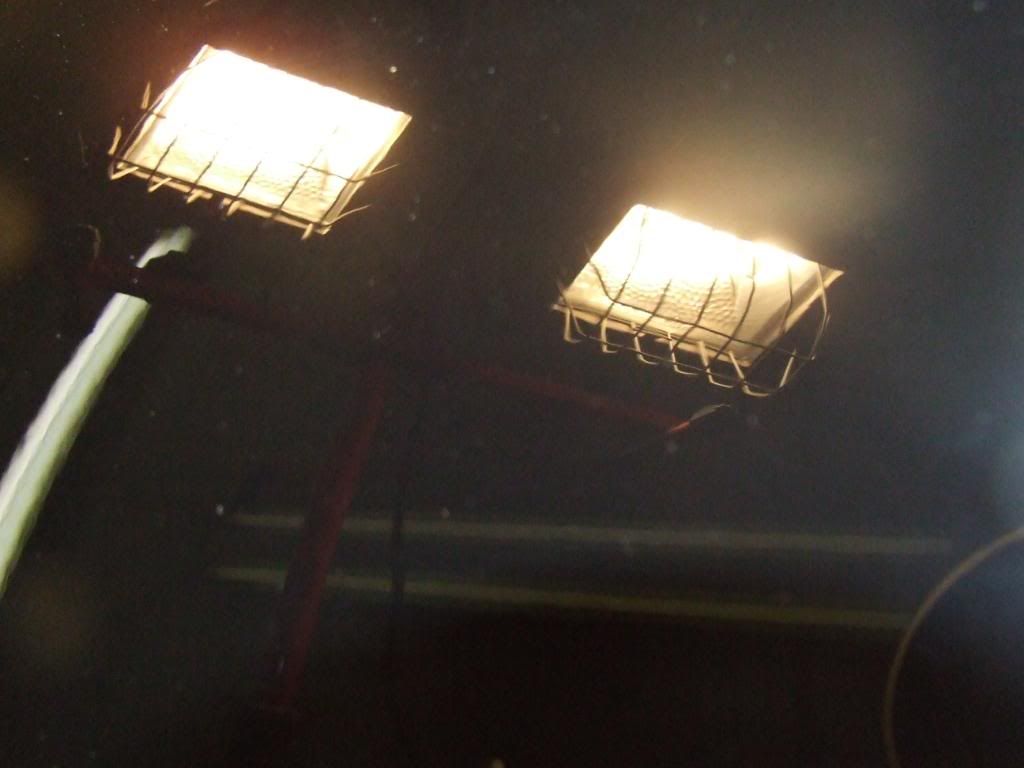 DSCF2596.jpg