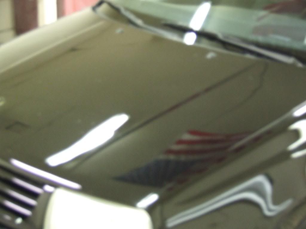 DSCF2673.jpg