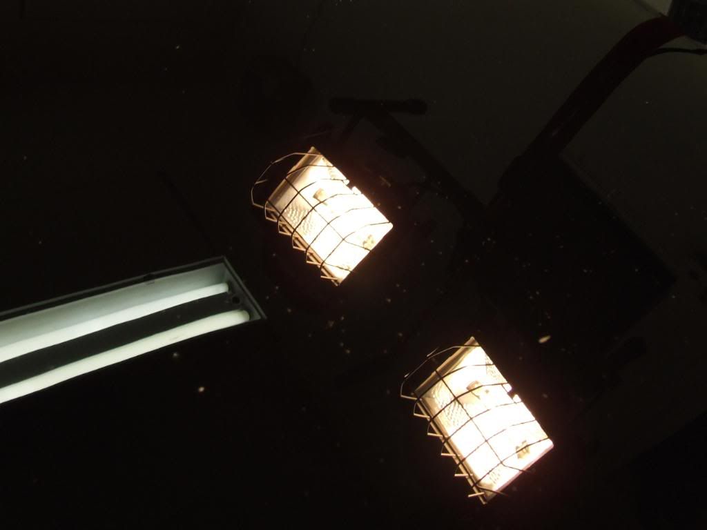 DSCF3162.jpg