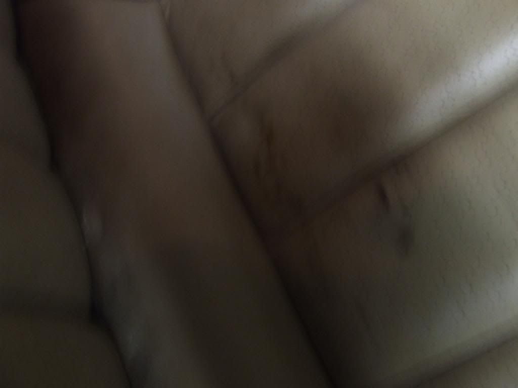 DSCF3235.jpg