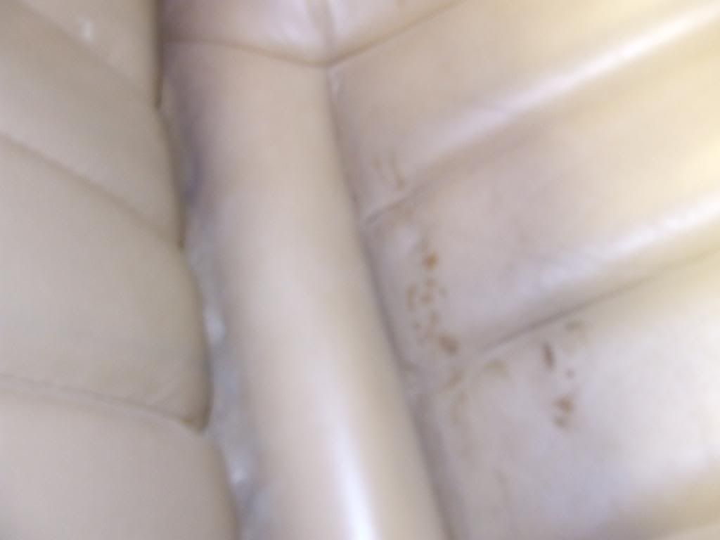 DSCF3236.jpg