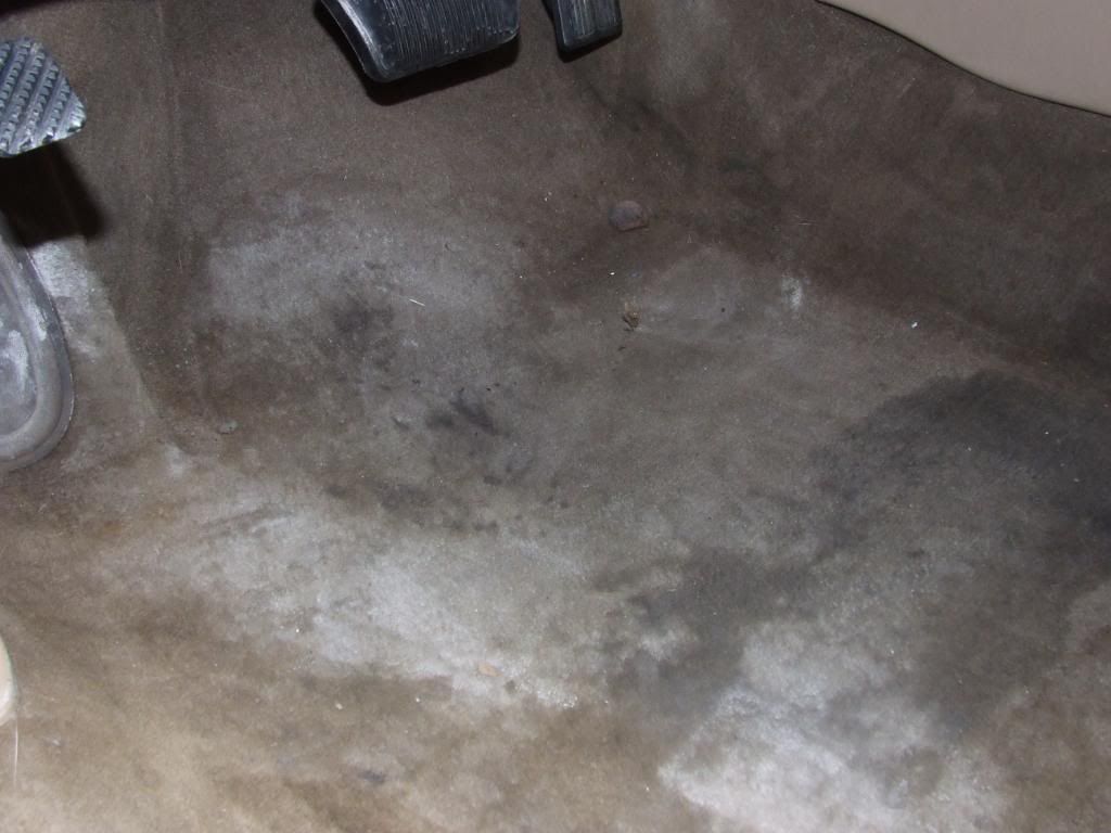 DSCF3248.jpg