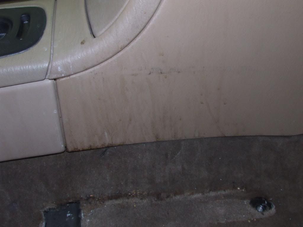 DSCF3289.jpg