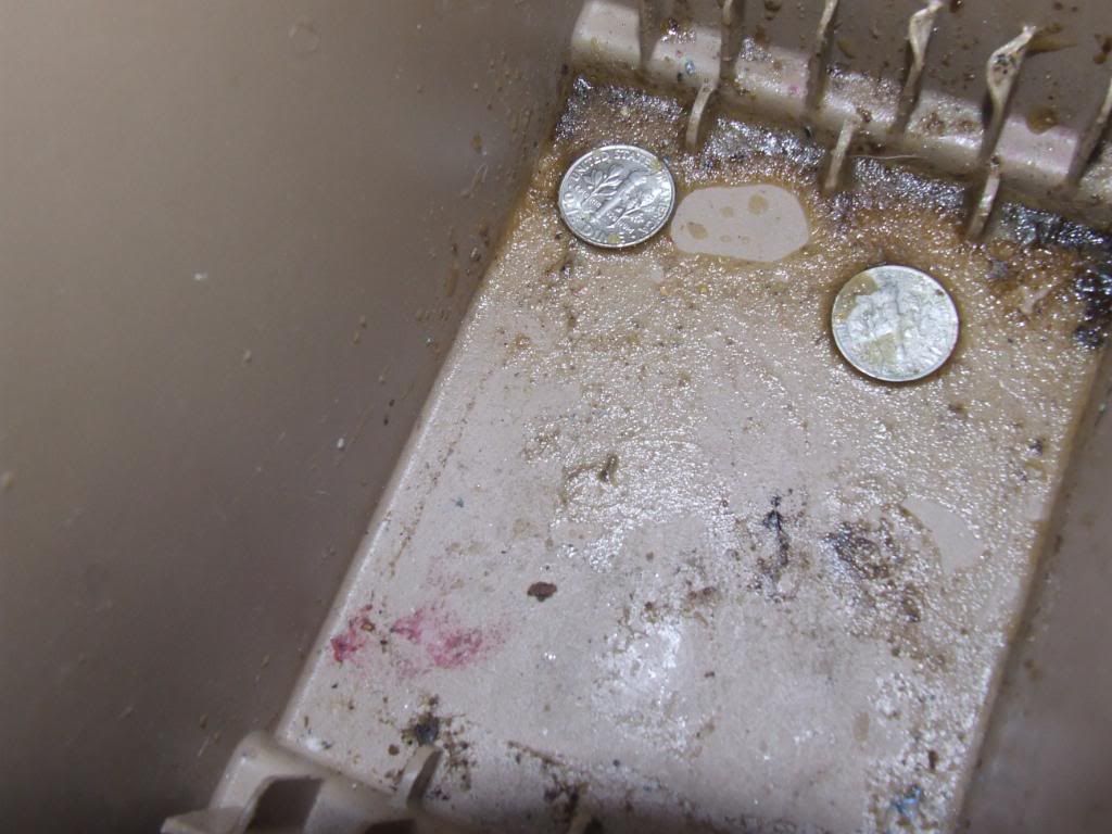 DSCF3294.jpg