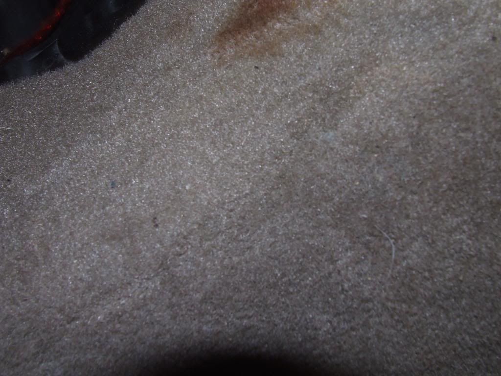 DSCF3300.jpg