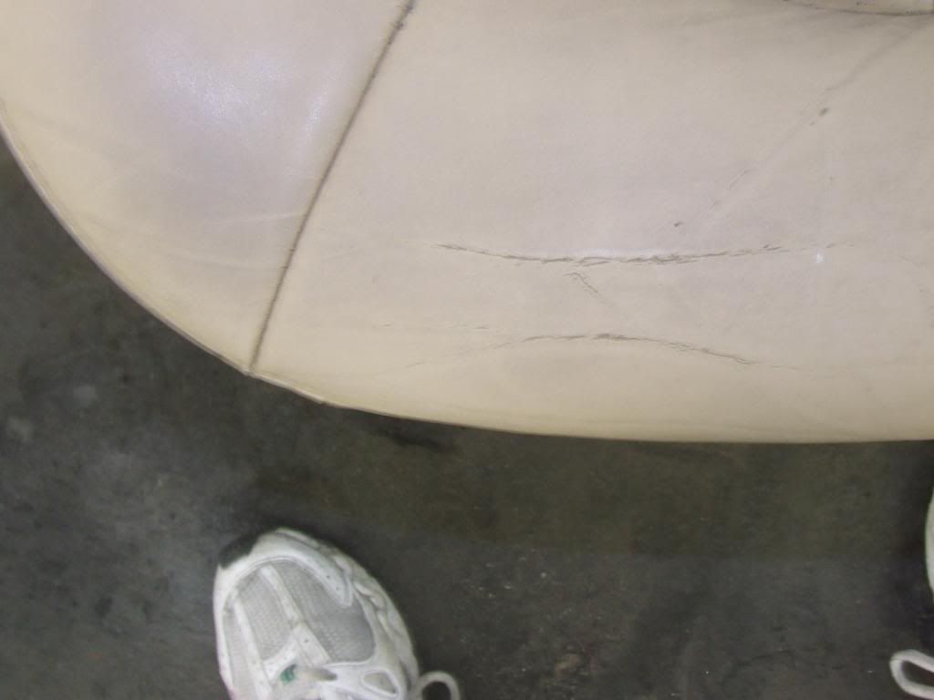 DSCF3331.jpg