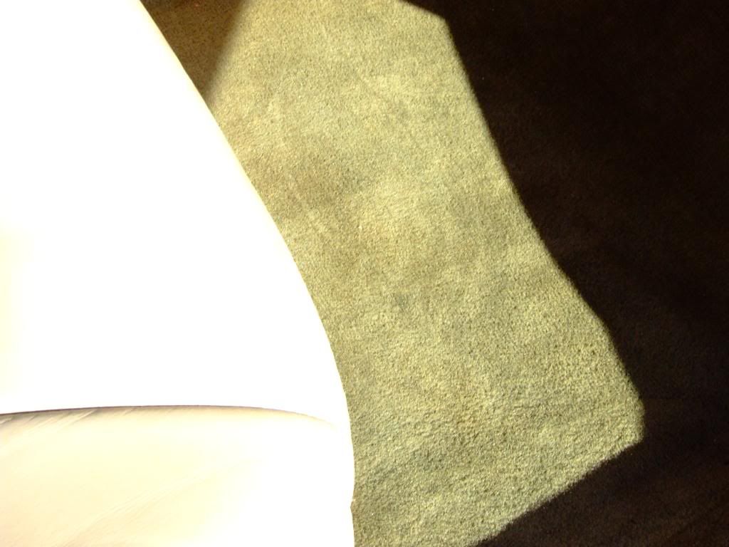 DSCF3508.jpg