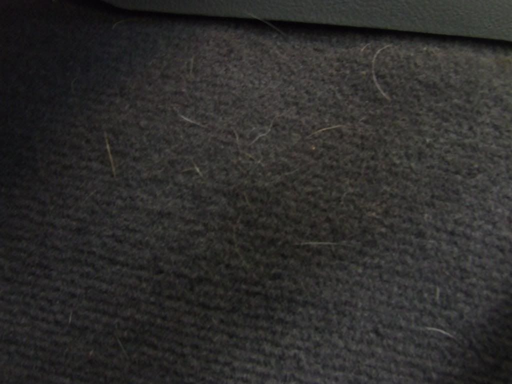 DSCF4372.jpg