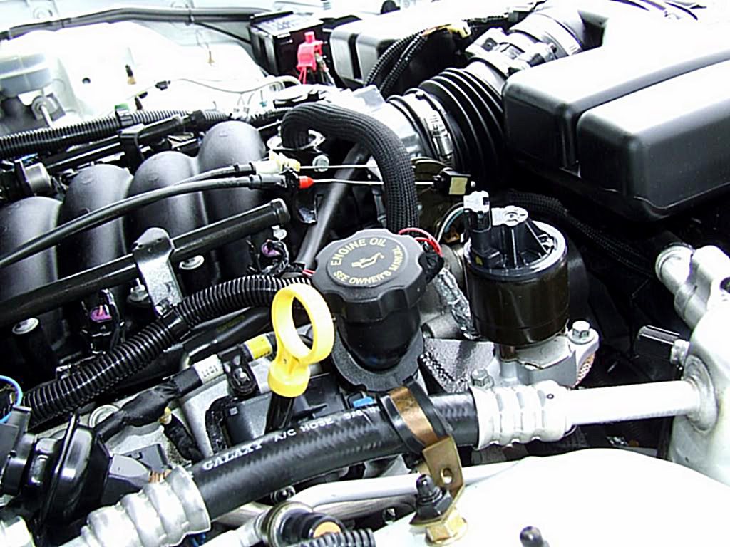 DSCF4493.jpg