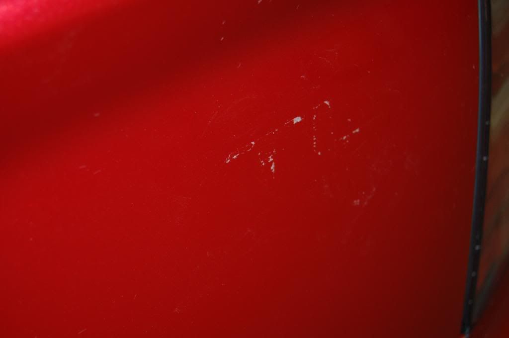 DSC_0253.jpg