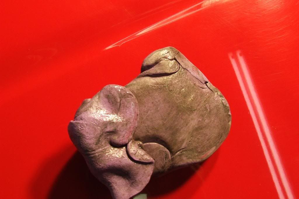 DSCF1546.jpg