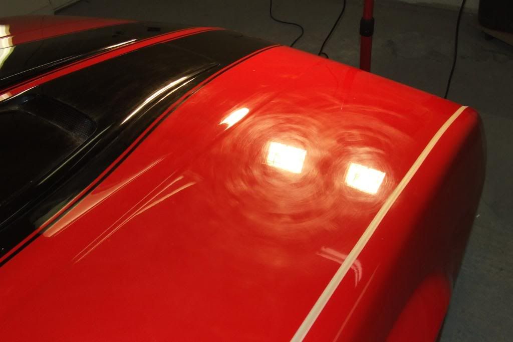 DSCF1557.jpg
