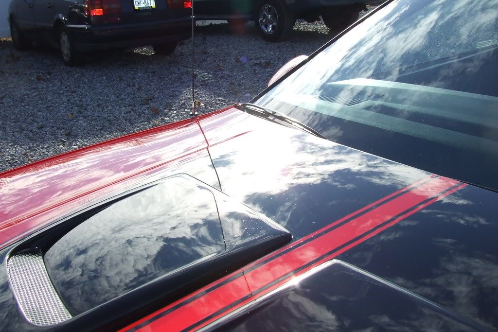 DSCF1838.jpg