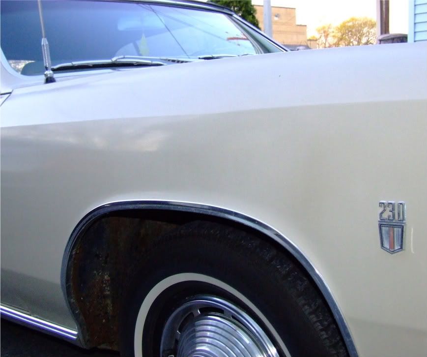 DSCF3558.jpg
