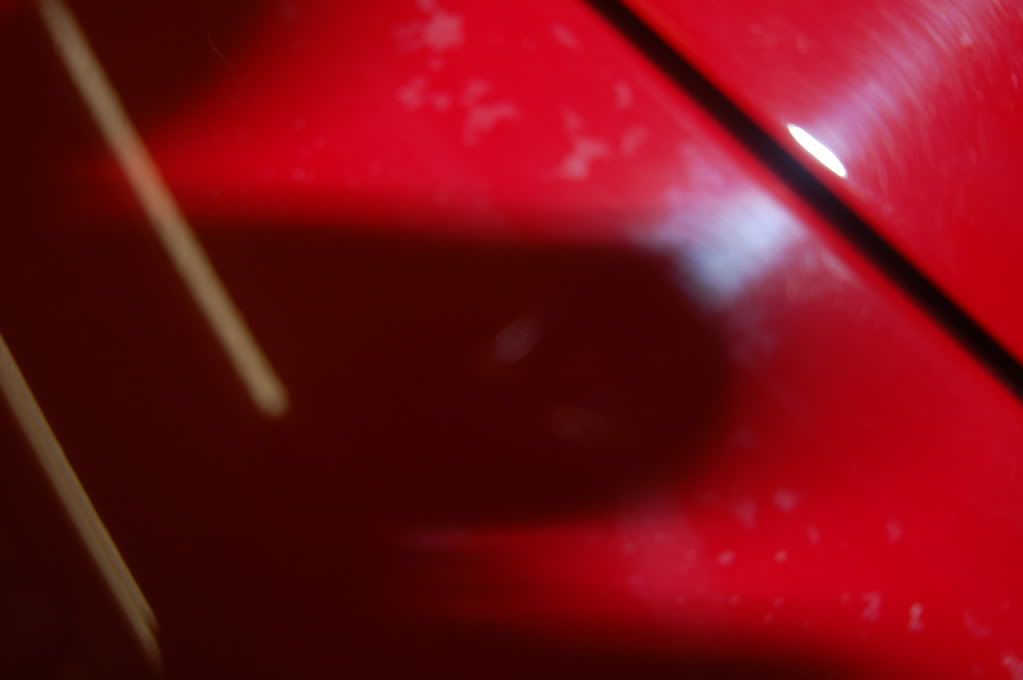 DSC_0631.jpg