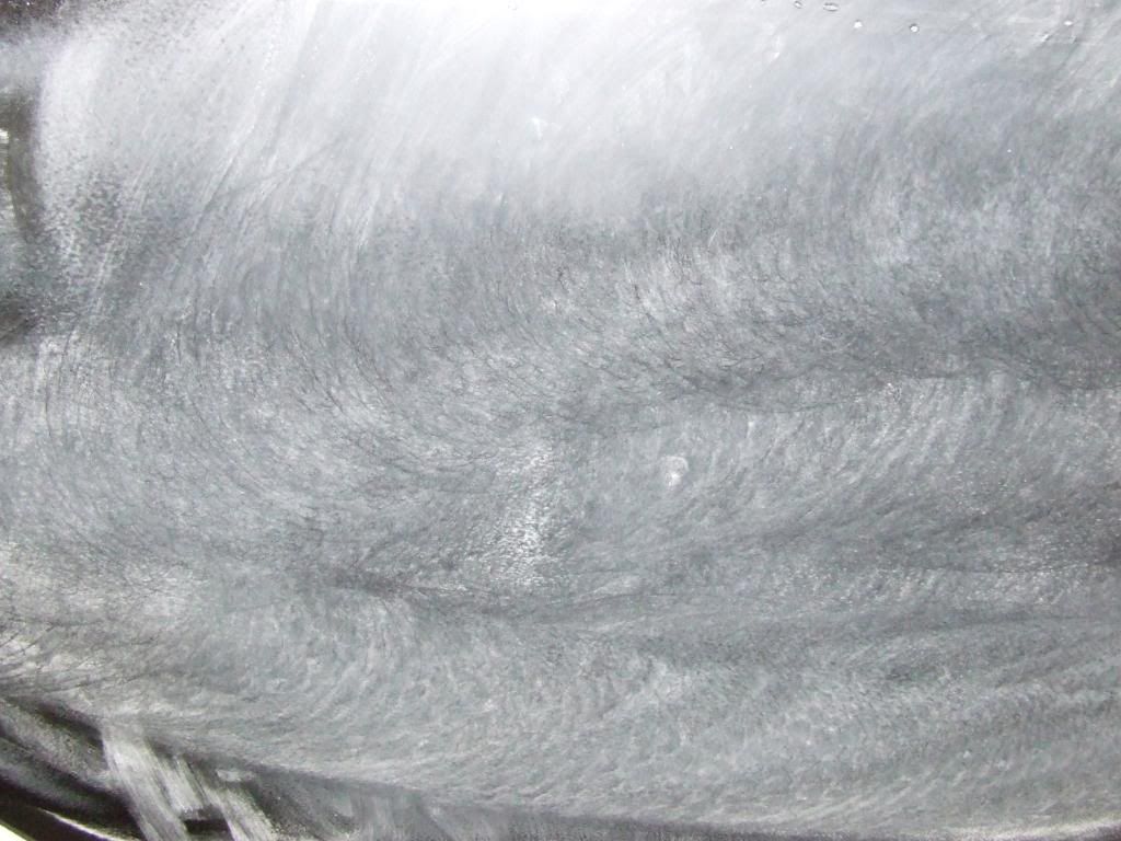 DSCF3920.jpg