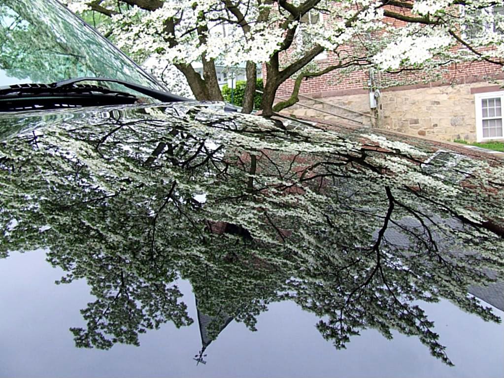 DSCF4039.jpg
