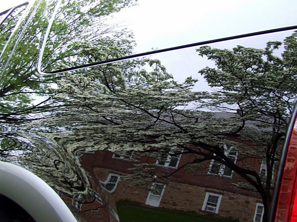 DSCF4042.jpg