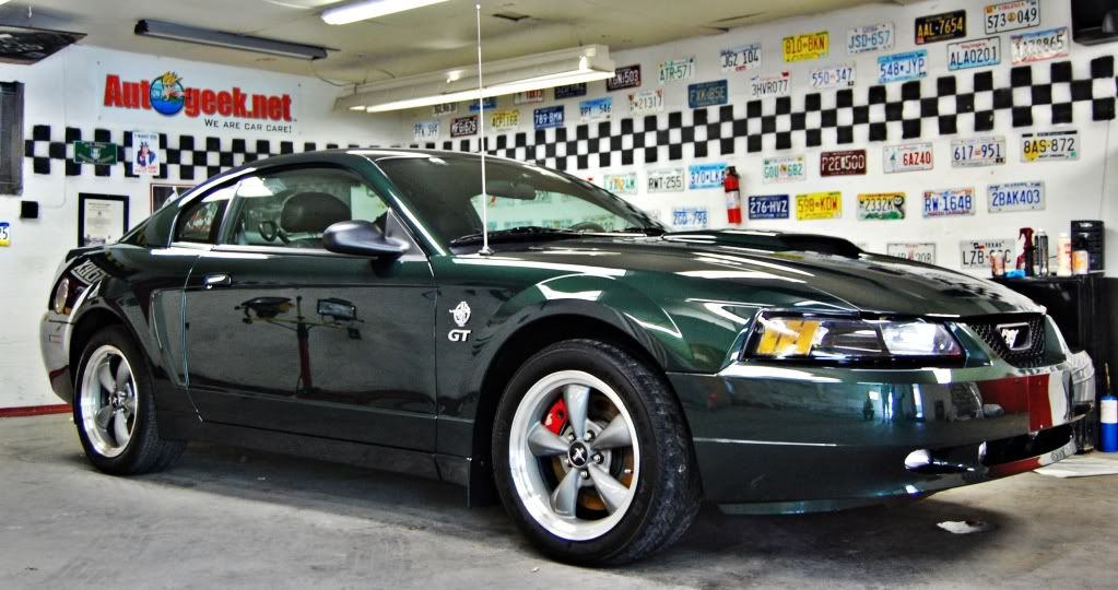 greenstang.jpg