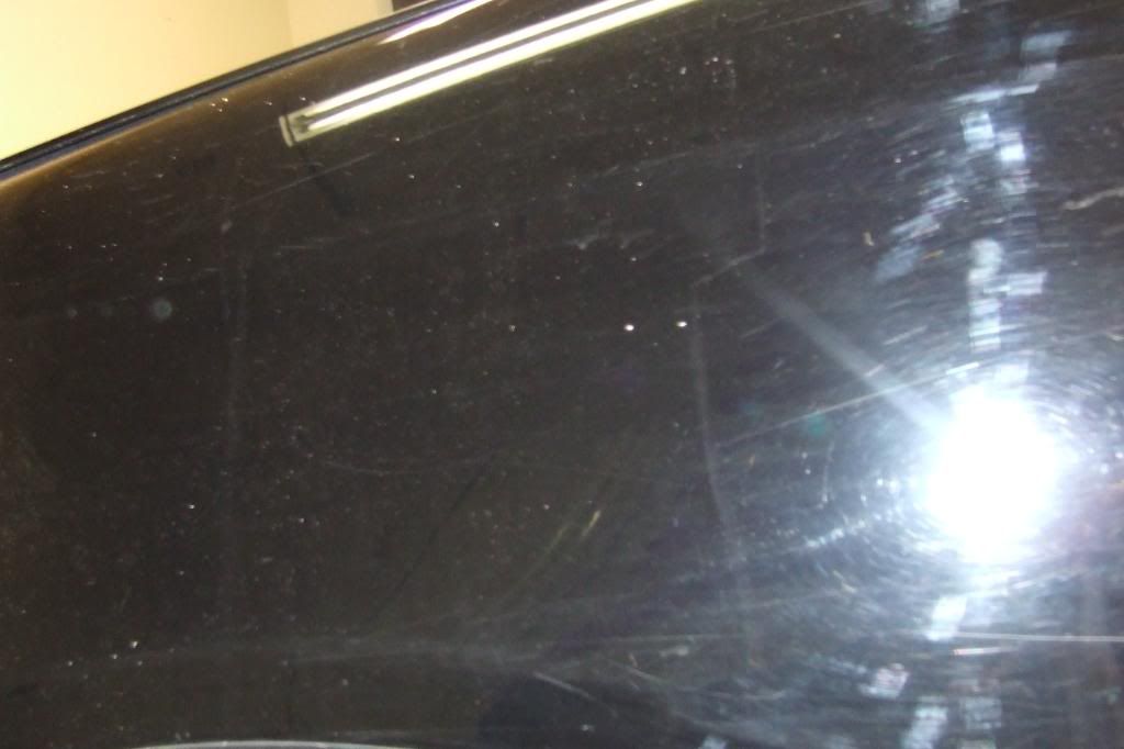 DSCF2095.jpg