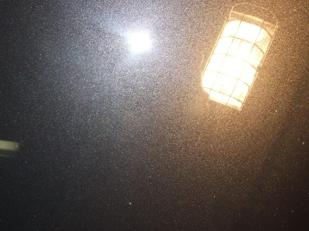 DSCF3679.jpg