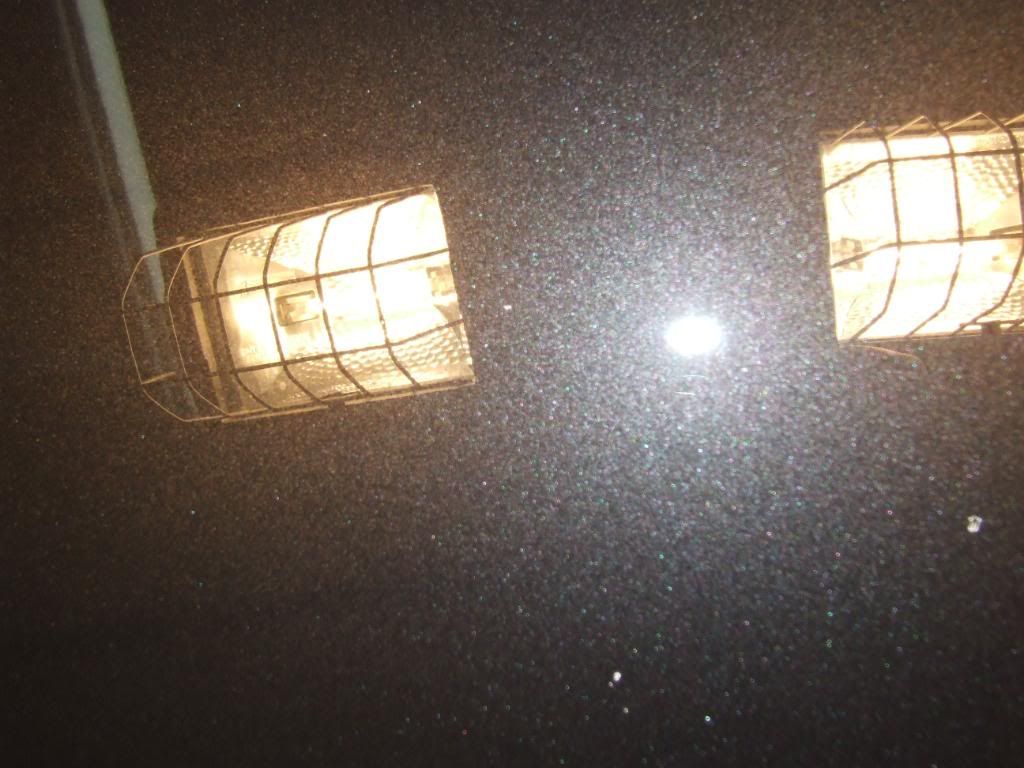 DSCF3725.jpg