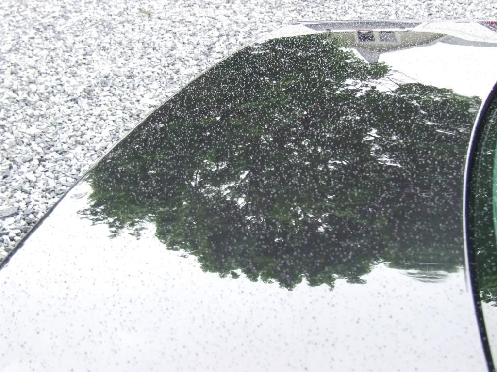DSCF3745.jpg