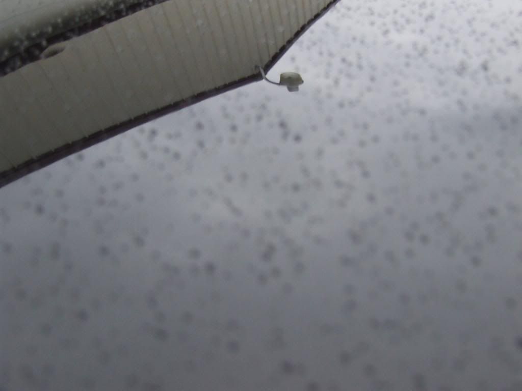 DSCF3747.jpg