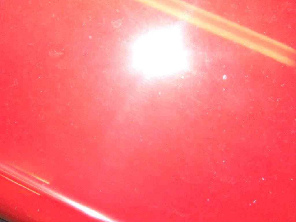 DSCF2283.jpg