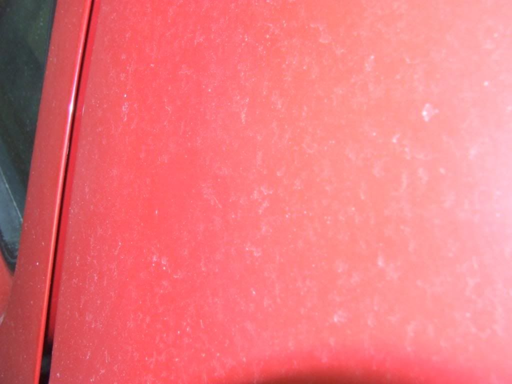 DSCF2292.jpg