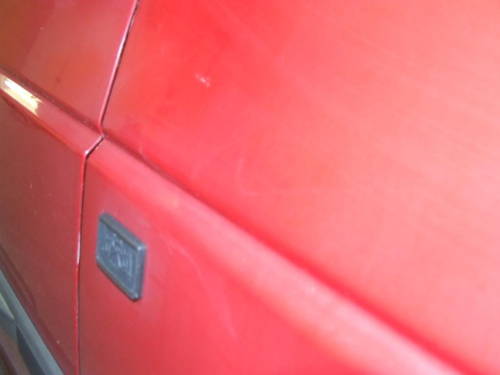 DSCF2335.jpg