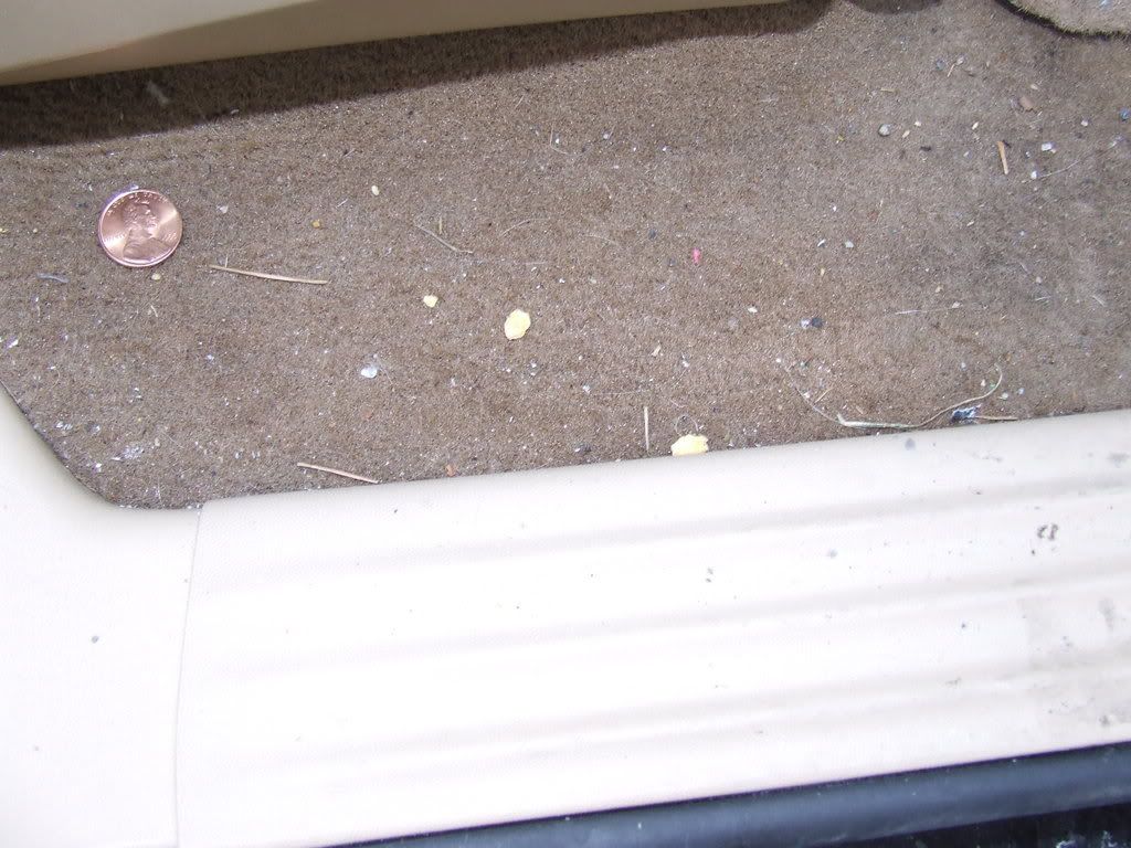 DSCF2748.jpg