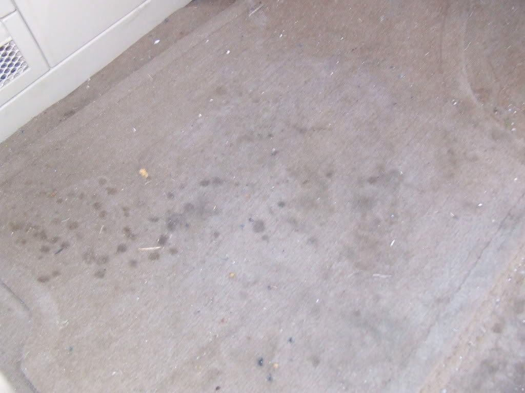 DSCF2749.jpg