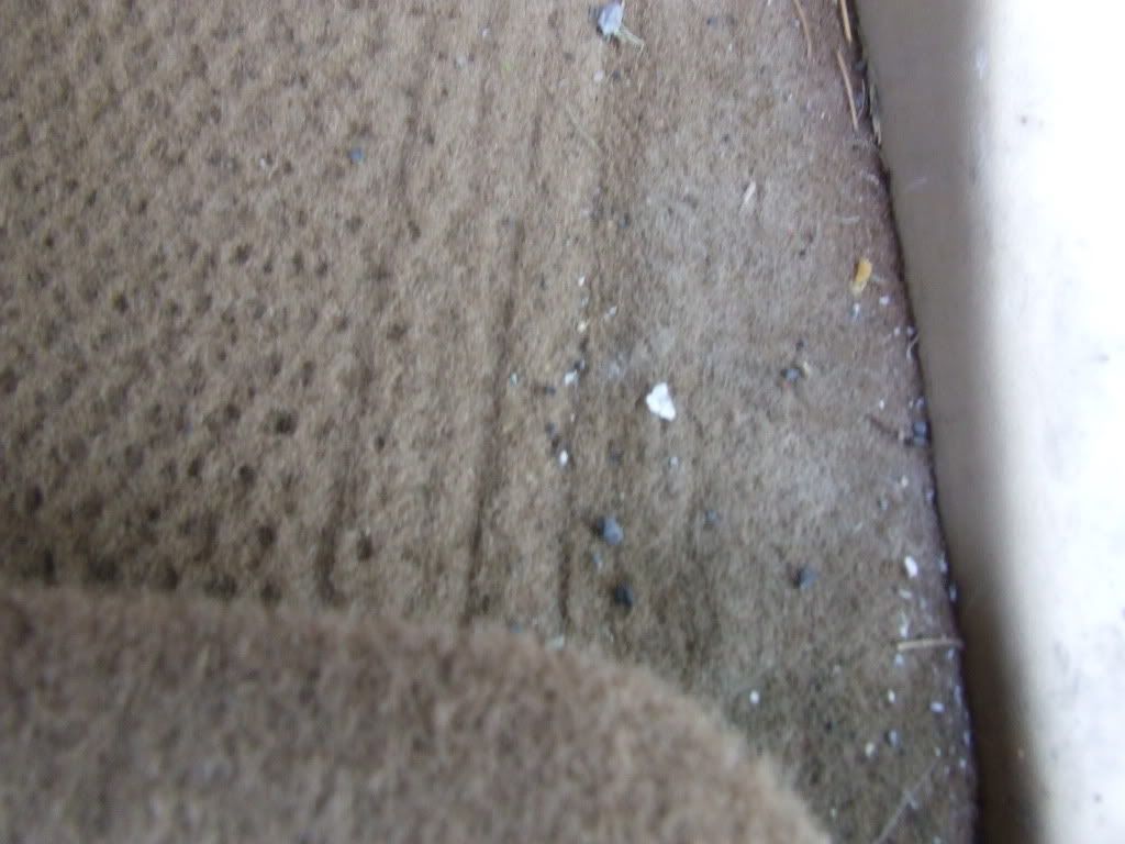 DSCF2751.jpg