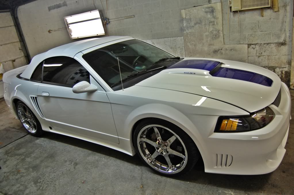 whitestang.jpg