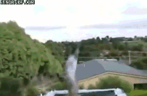 trampolinedog_zps604afc1d.gif
