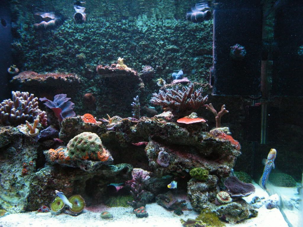 DSCF3850 - iyachtuxivms Reef