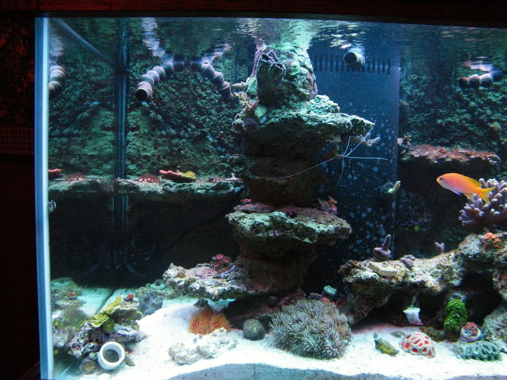 DSCF3852 - iyachtuxivms Reef