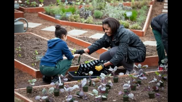 First Lady Michelle Obama hands a spinach plant to a student during the spring planting of the White House Kitchen Garden on the South Lawn of the White House, March 16, 2011. (Official White House Photo by Lawrence Jackson)