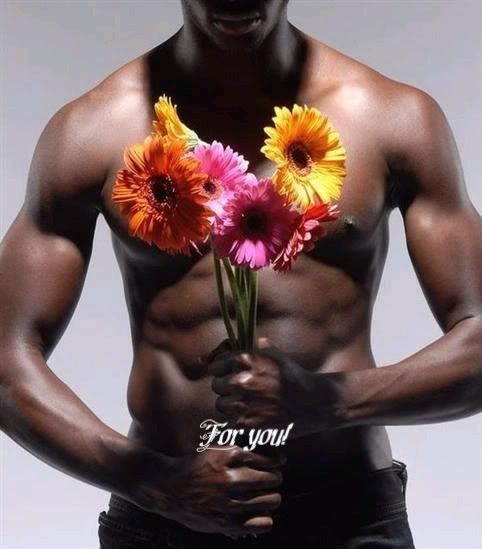 fiori Pictures, Images and Photos