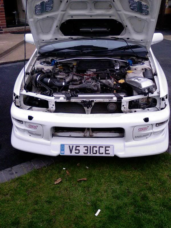 [Image: lightsandgrilloff.jpg]