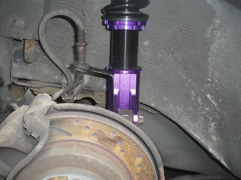 [Image: CIMG0009.jpg]