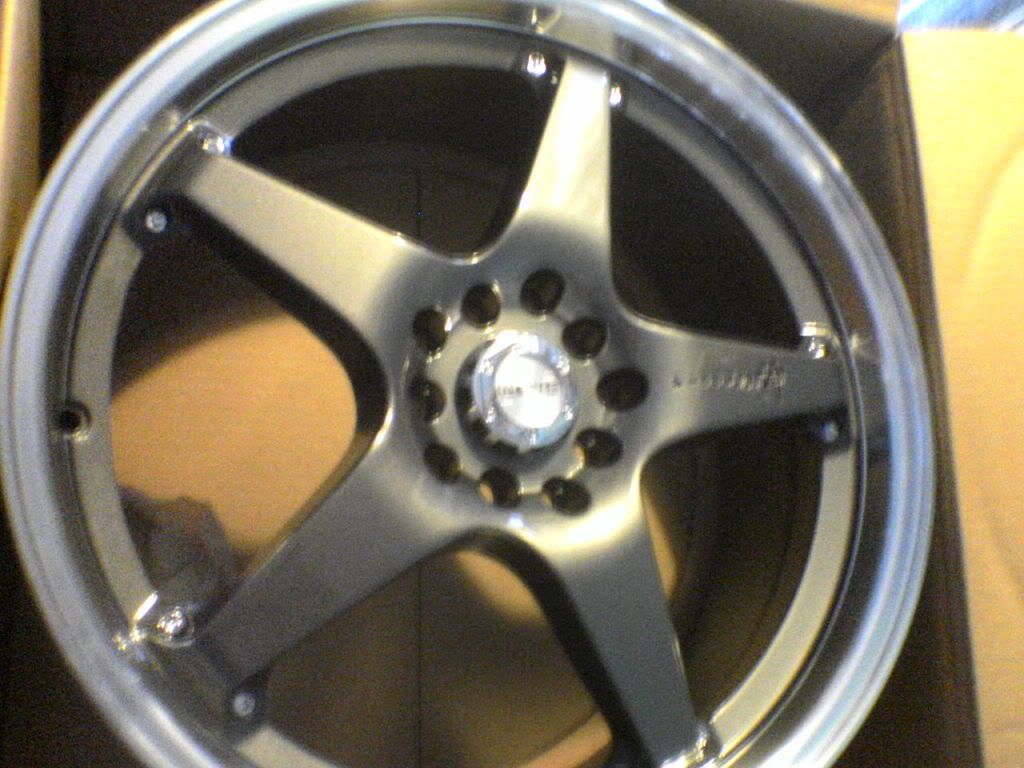 [Image: dsc000024pz.jpg]